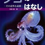 たこタコページ Amazon.co.jp: VIAHART (ビアハート)【 Tiger Tale Toys (タイガー